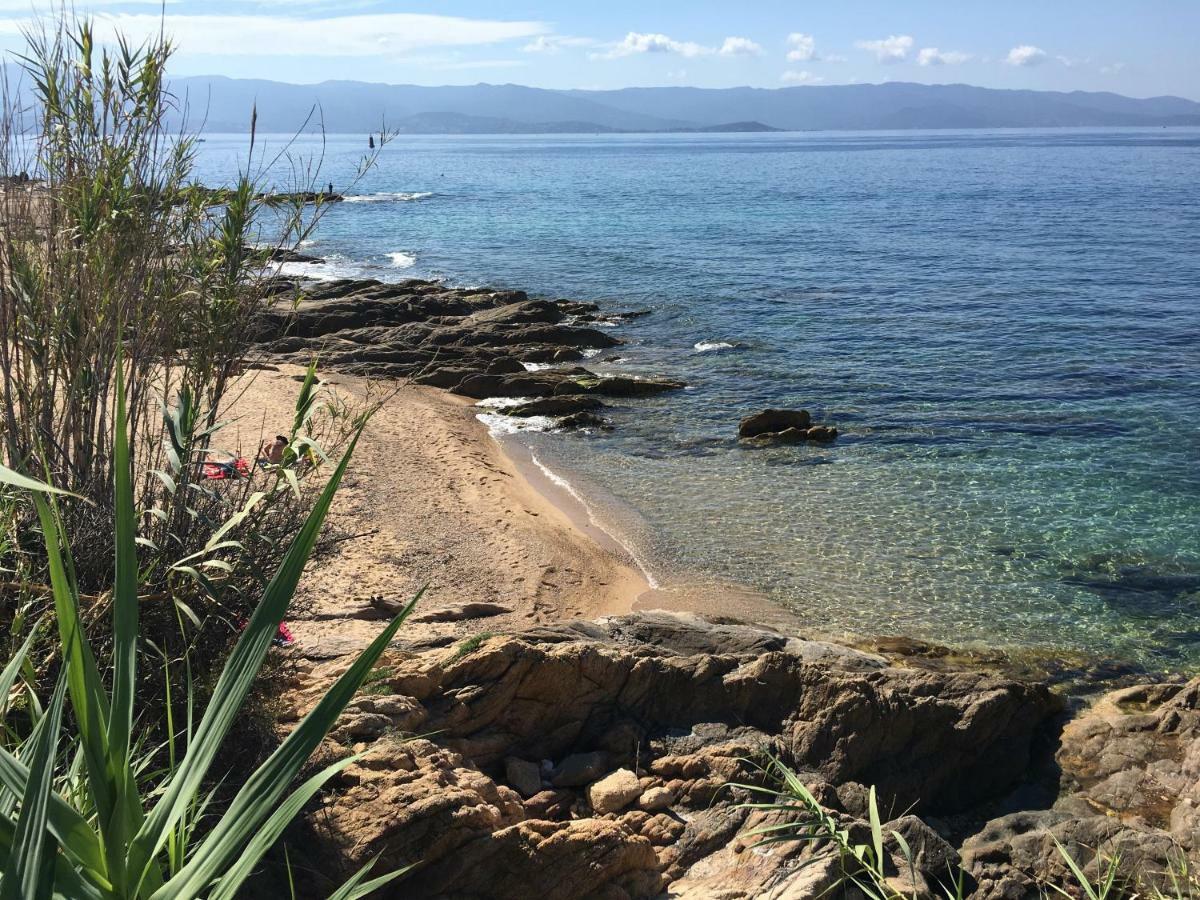 Superbe Appartement 3 Etoiles Ajaccio Debut Sanguinaires ภายนอก รูปภาพ